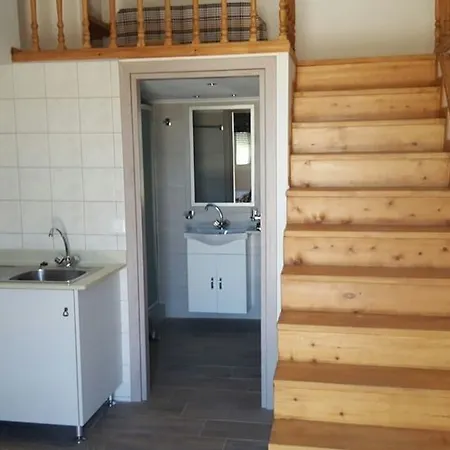 Apartment Vlycha &