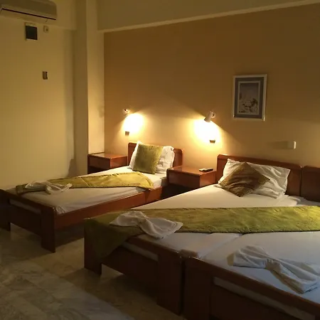 Apartment Vlycha &