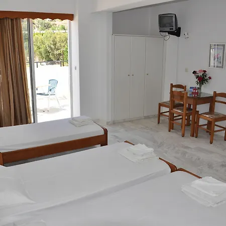 Apartment Vlycha &